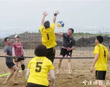 9体育-排球夜战：东海天虎队读秒扳平齐鲁霹雳队，主帅临场妙招保级形势悄然变化